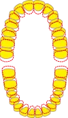 invisalignGoの適応歯